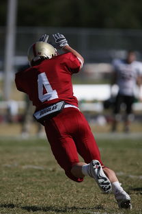 德甲球队休赛期集训方式对开局表现影响，德甲青训规则